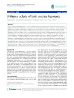 báo cáo hóa học: