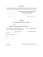 MẪU ĐỀ NGHỊ ĐƯA BÁO HIỆU HÀNG HẢI VÀO SỬ DỤNG ppt