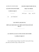 MẪU GIẤY PHÉP SỬA ĐỔI, BỔ SUNG NHỮNG QUY ĐỊNH TRONG GIẤY PHÉP CHUYÊN TRANG BÁO CHÍ ĐIỆN TỬ pptx