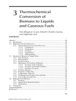 Handbook of plant based biofuels - Chapter 3 ppt