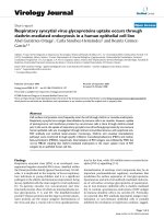 Báo cáo hóa học: 