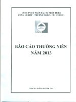 báo cáo thường niên 2013 công ty cp đầu tư phát triển công nghiệp thương mại củ chi