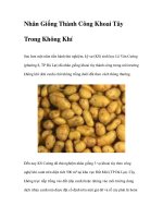 Nhân Giống Thành Công Khoai Tây Trong Không Khí pot