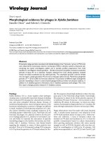 Báo cáo hóa học: 