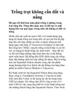 Trồng trọt không cần đất và nắng pot