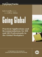 Practical Applications and Recommendations for HR and OD Professionals in the Global Workplace_1 docx