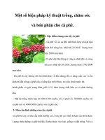 Một số biện pháp kỹ thuật trồng, chăm sóc và bón phân cho cà phê pdf