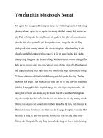 Yêu cầu phân bón cho cây Bonsai pot