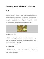 Kỹ Thuật Trồng Sầu Riêng Công Nghệ Cao potx