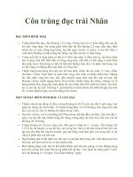 Côn trùng đục trái Nhãn pdf