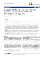 báo cáo hóa học: 