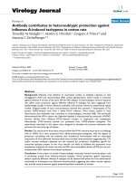 Báo cáo hóa học: 