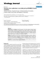 Báo cáo hóa học: 