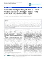 báo cáo hóa học: