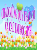 Cơ quan sinh dục nam