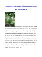 Nhà nông cần biết cách sản xuất bưởi da xanh an toàn theo tiêu chuẩn GAP pptx