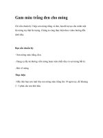 Gam màu trắng đen cho móng doc