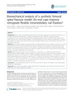 báo cáo hóa học: