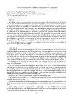 Nghiên cứu khoa học 