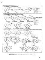 Sinh học phát triển thực vật part 3 doc