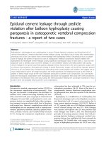 báo cáo hóa học: