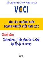 báo cáo thường niên doanh nghiệp việt nam 2012 chặng đường 10 năm phát triển và năng lực tiếp cận thị trường