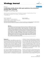 Báo cáo hóa học: 