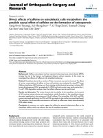 báo cáo hóa học: