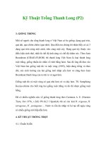 Kỹ Thuật Trồng Thanh Long (P2) potx