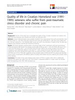 báo cáo hóa học: 