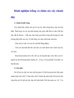 Kinh nghiệm trồng và chăm sóc cây chanh dây doc