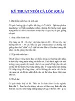 KỸ THUẬT NUÔI CÁ LÓC (QUẢ) docx