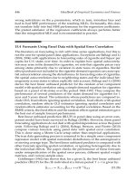 Handbook of Empirical Economics and Finance _16 pdf