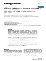 Báo cáo hóa học: 