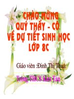Tiêu hóa và cơ quan tiêu hóa