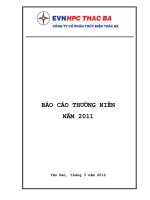 báo cáo thường niên năm 2012 công ty cổ phần thủy điện thác bà