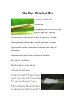 Sâu Đục Thân hại Mía pptx