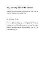 ''''Quy tắc vàng'''' để Núi Đôi mỡ màu pdf