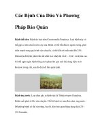 Các Bệnh Của Dứa Và Phương Pháp Bảo Quản docx