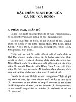 Kỹ thuật nuôi cá mú part 2 pdf