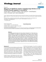 Báo cáo hóa học: 