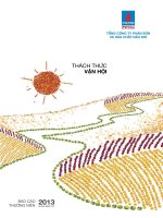 báo cáo thường niên 2013 thách thức vận hội cty phân bón hóa chất dầu khí