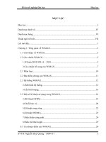 Cấu trúc khung MAC trong các chế độ hoạt động của WiMAX