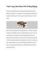 Vĩnh Long: Đưa Khoai Mỡ Xuống Ruộng doc