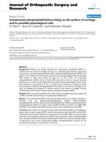 báo cáo hóa học: