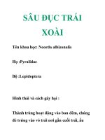 SÂU ĐỤC TRÁI XOÀI pptx