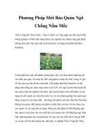 Phương Pháp Mới Bảo Quản Ngô Chống Nấm Mốc potx