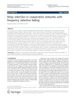 Báo cáo hóa học: 