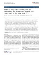 Báo cáo hóa học: 