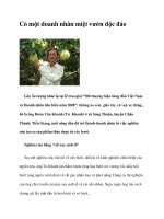 Có một doanh nhân miệt vườn độc đáo pptx